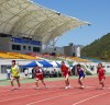 진도교육지원청, 학년별 육상경기대회 개최